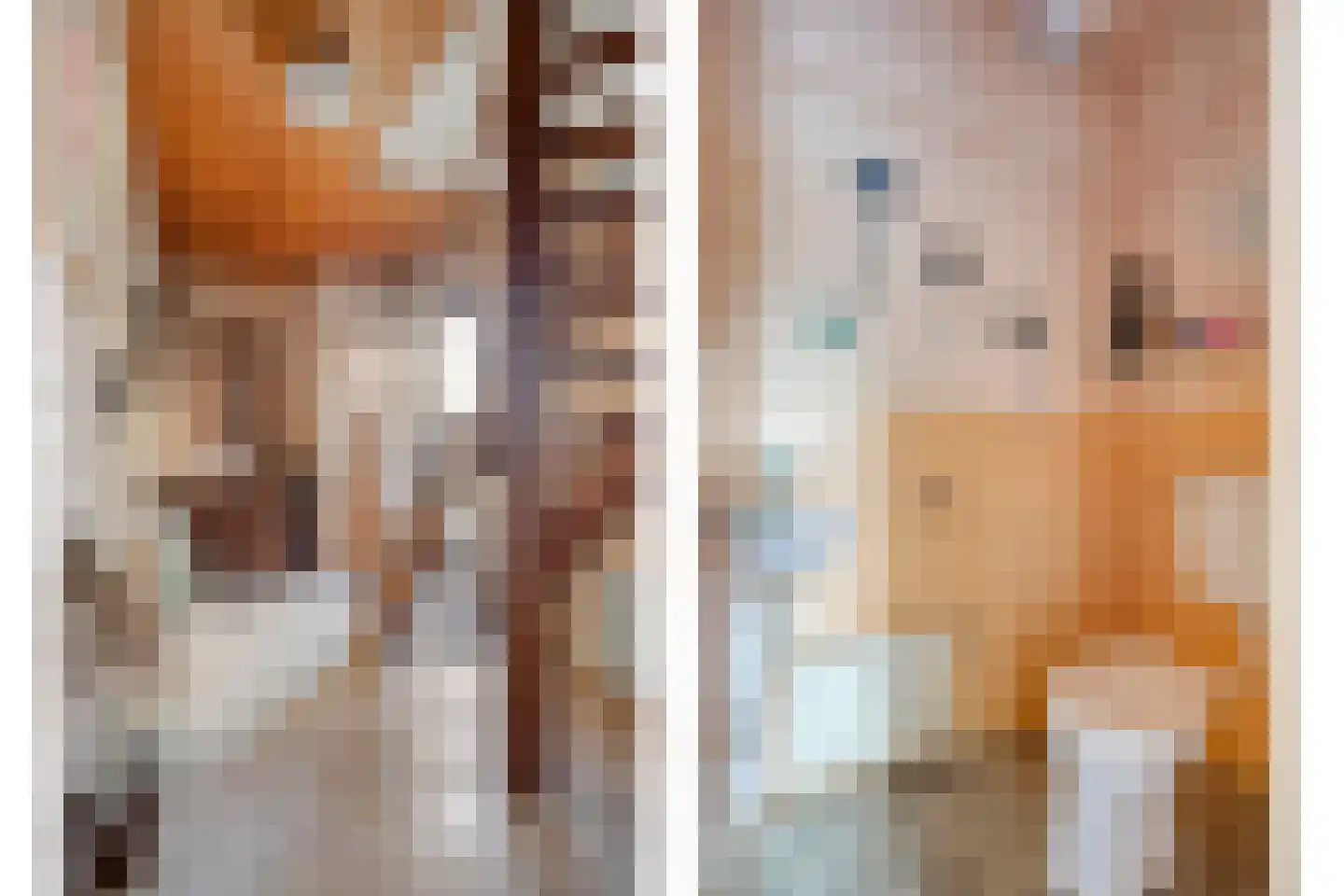 Scheperskamp 25 Vledder thumbnail 17