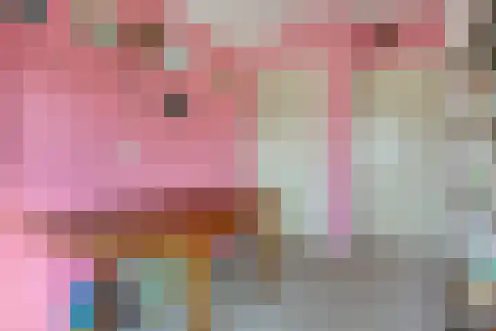 Scheperskamp 25 Vledder thumbnail 23