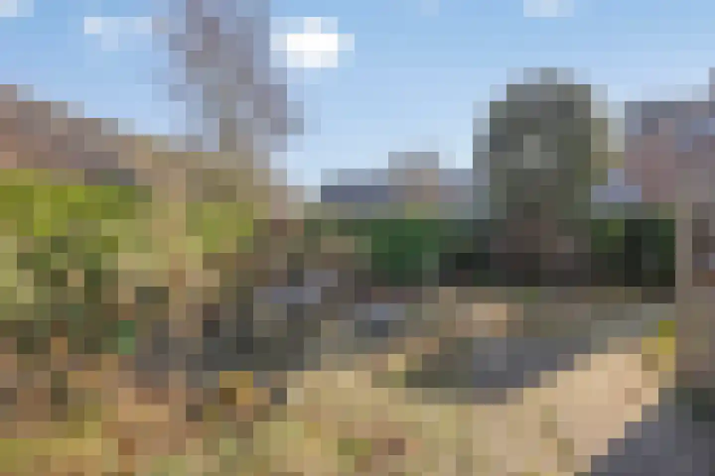 Scheperskamp 25 Vledder thumbnail 30