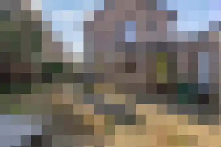 Scheperskamp 25 Vledder thumbnail 30