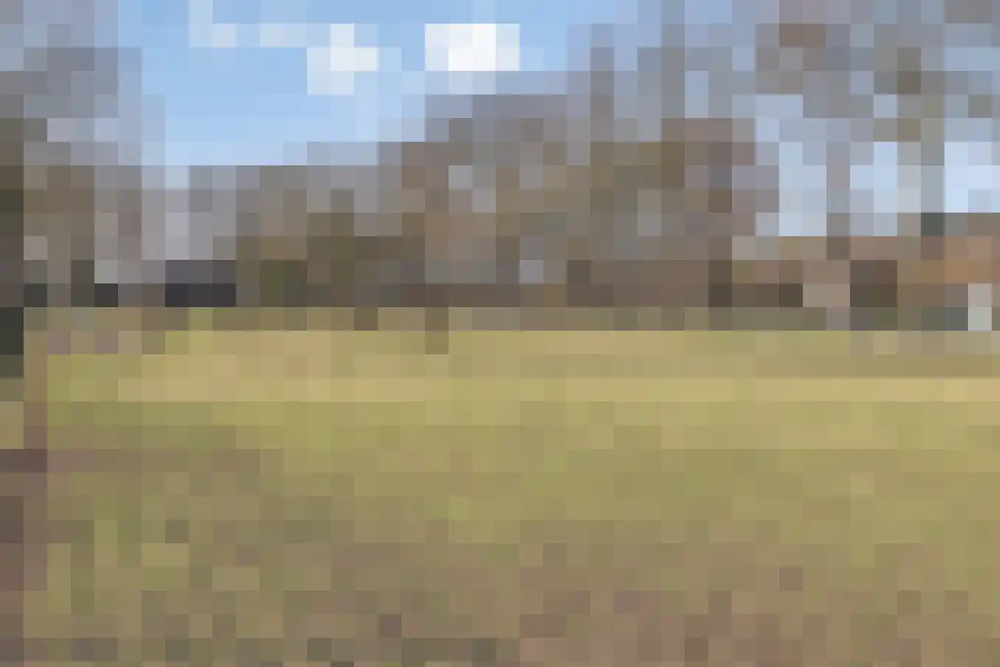 Scheperskamp 25 Vledder thumbnail 37