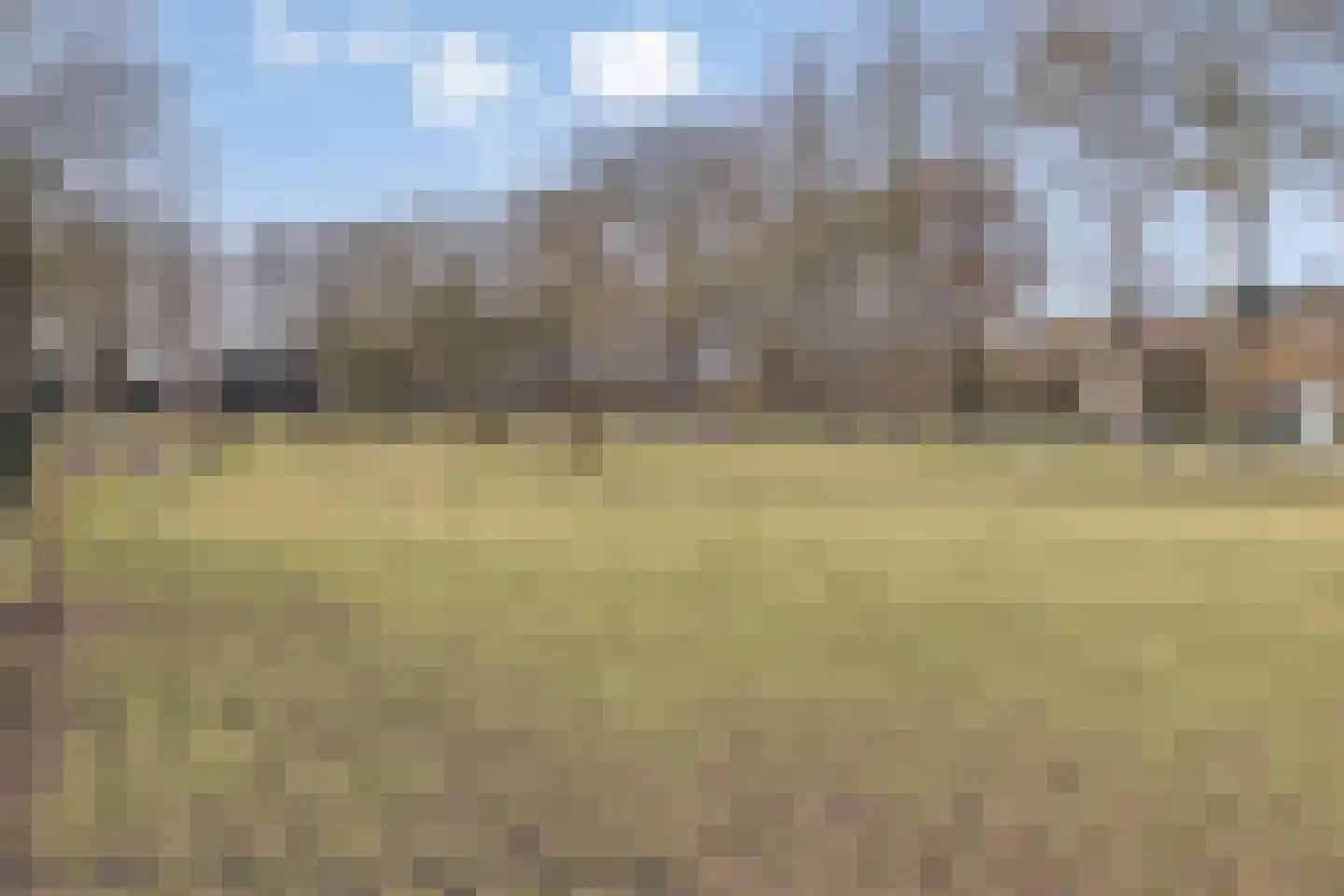 Scheperskamp 25 Vledder thumbnail 38