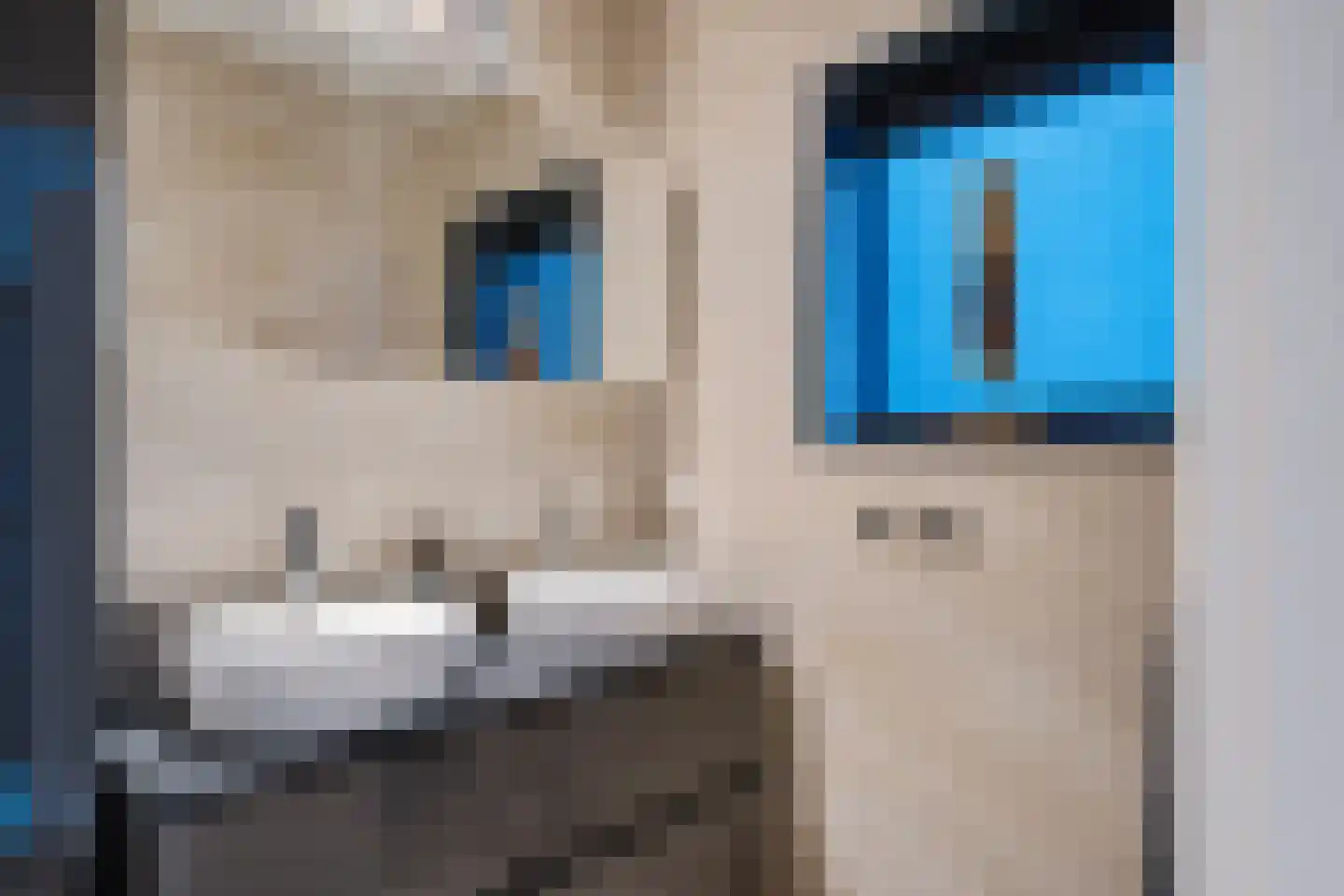 Scheperskamp 3 Vledder thumbnail 16