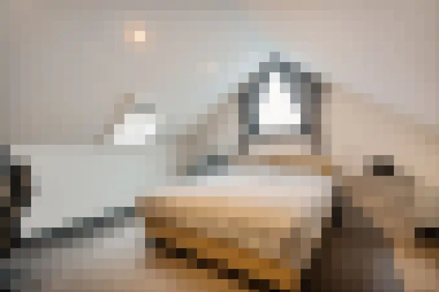 Scheperskamp 3 Vledder thumbnail 24