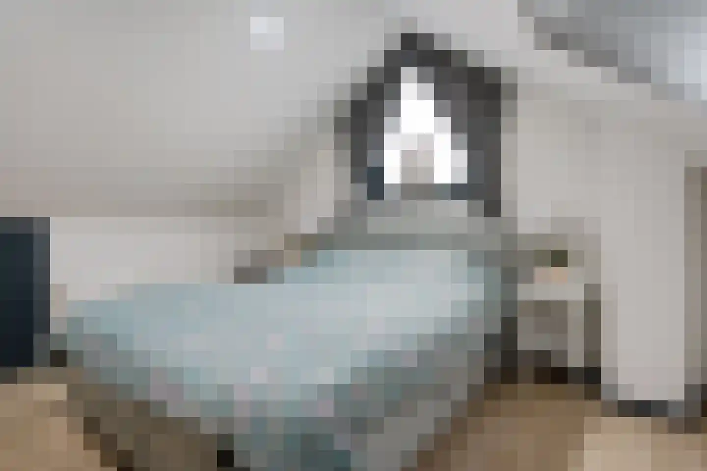 Scheperskamp 3 Vledder thumbnail 27