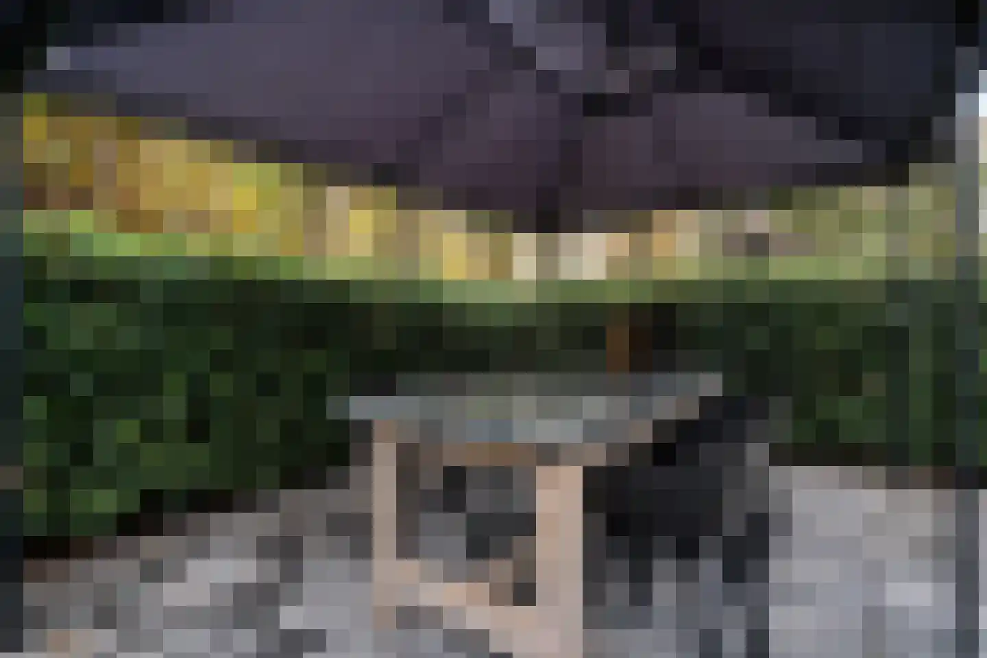 Scheperskamp 3 Vledder thumbnail 33