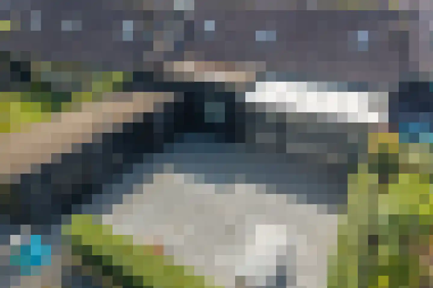 Scheperskamp 3 Vledder thumbnail 33