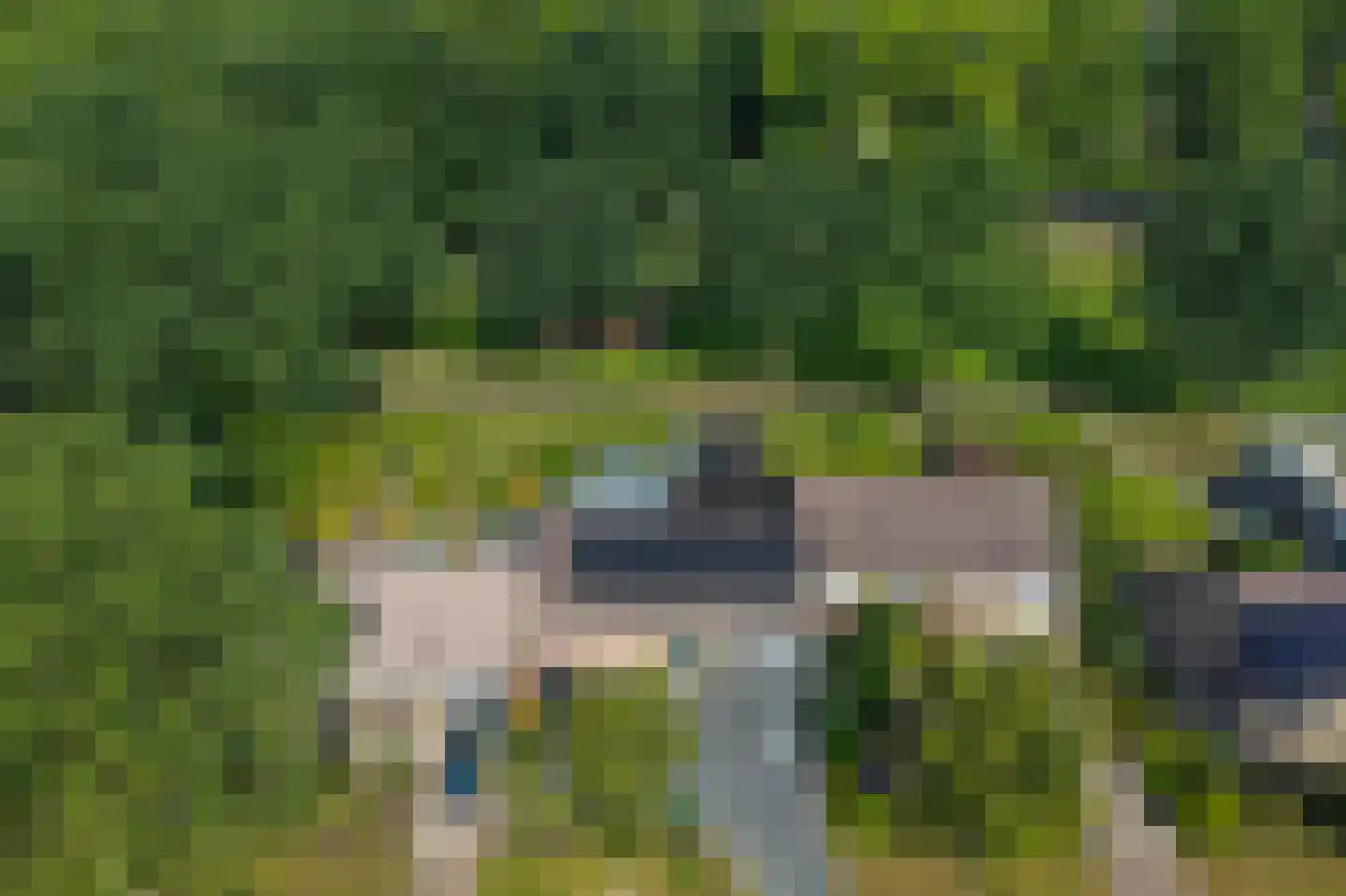 Scheperskamp 3 Vledder thumbnail 40