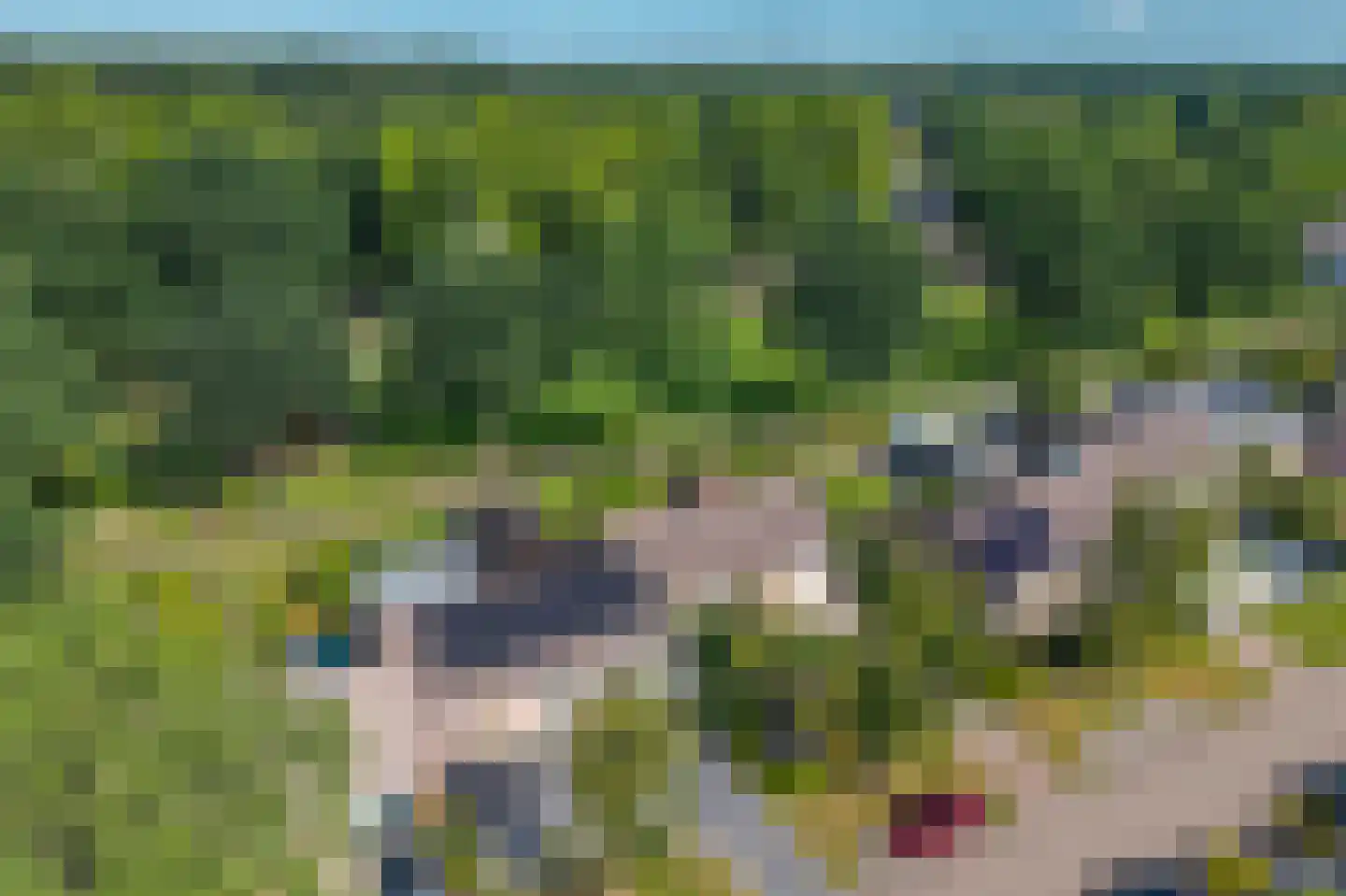 Scheperskamp 3 Vledder thumbnail 41