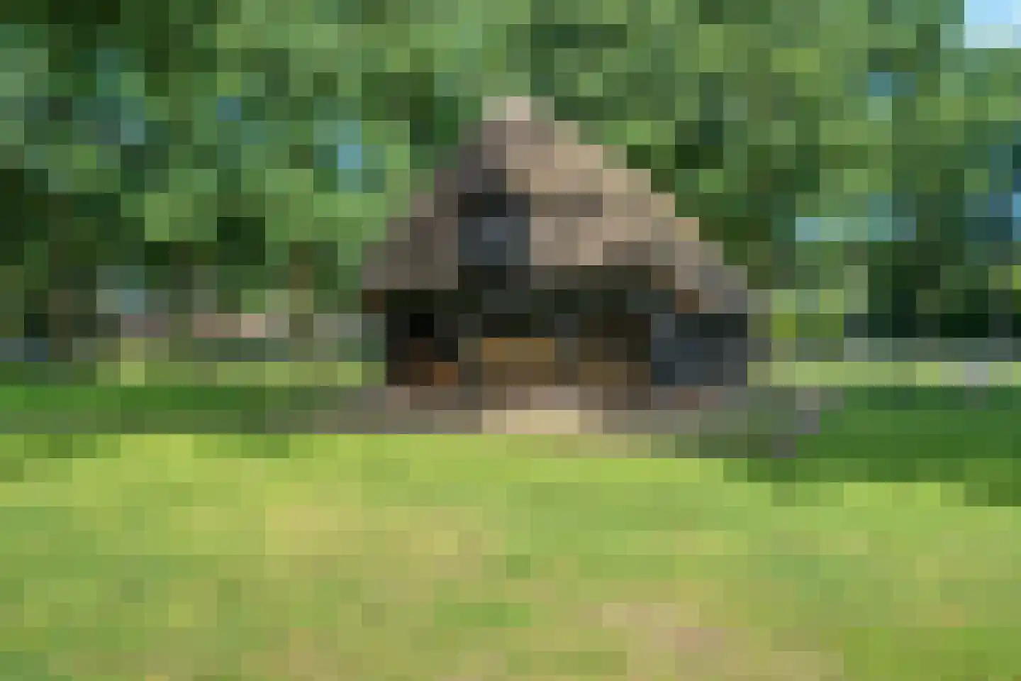 Scheperskamp 3 Vledder thumbnail 50