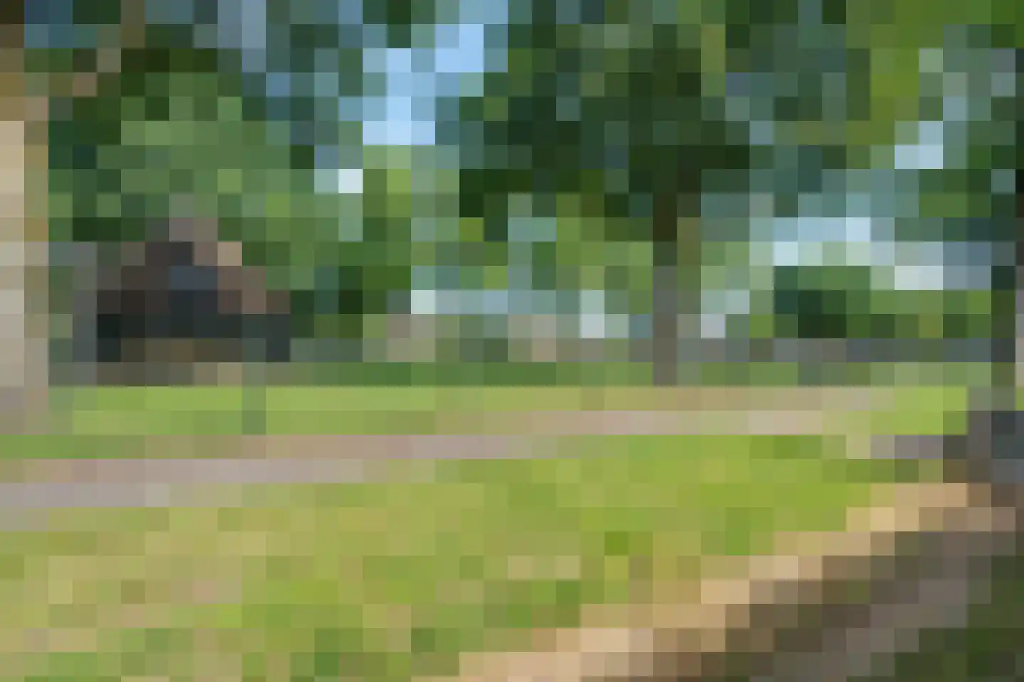 Scheperskamp 3 Vledder thumbnail 53
