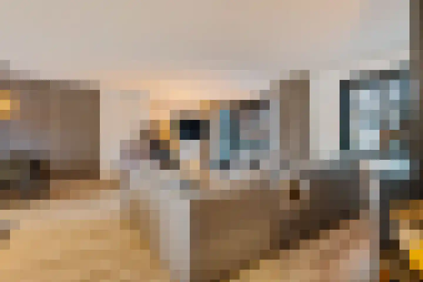 Scheperskamp 3 Vledder thumbnail 6