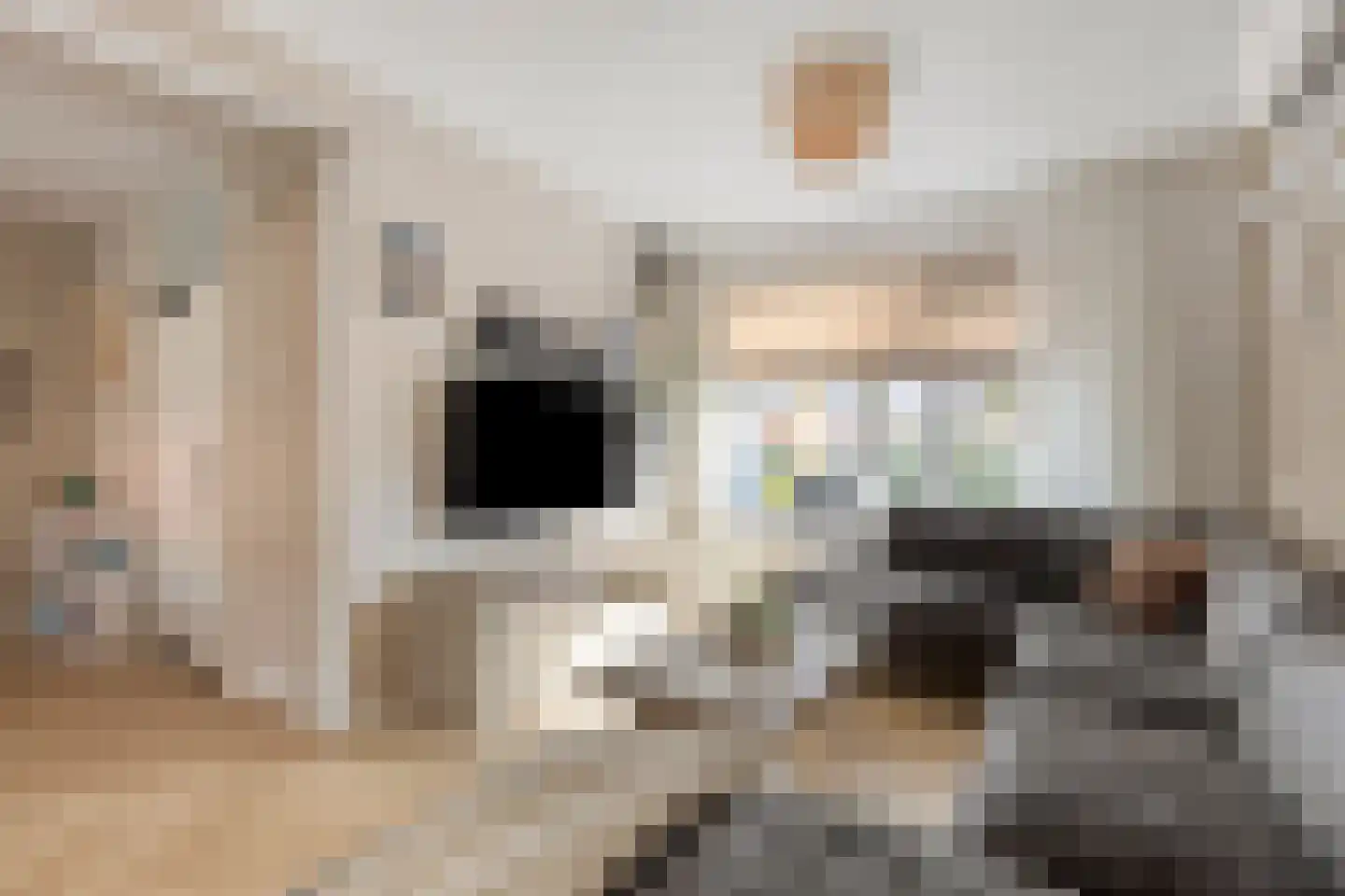 Scheperslaan 5 Stadskanaal thumbnail 11