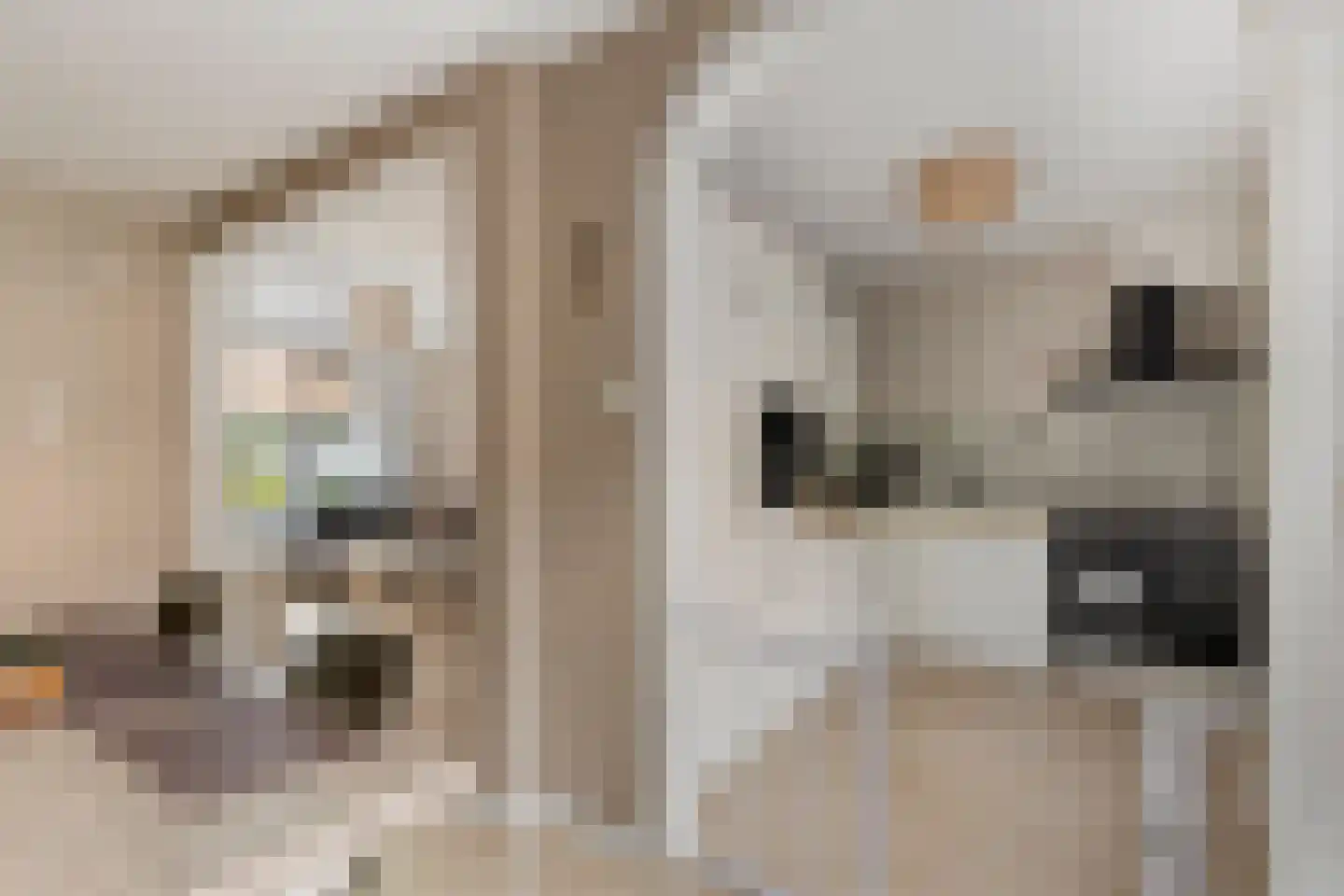 Scheperslaan 5 Stadskanaal thumbnail 14
