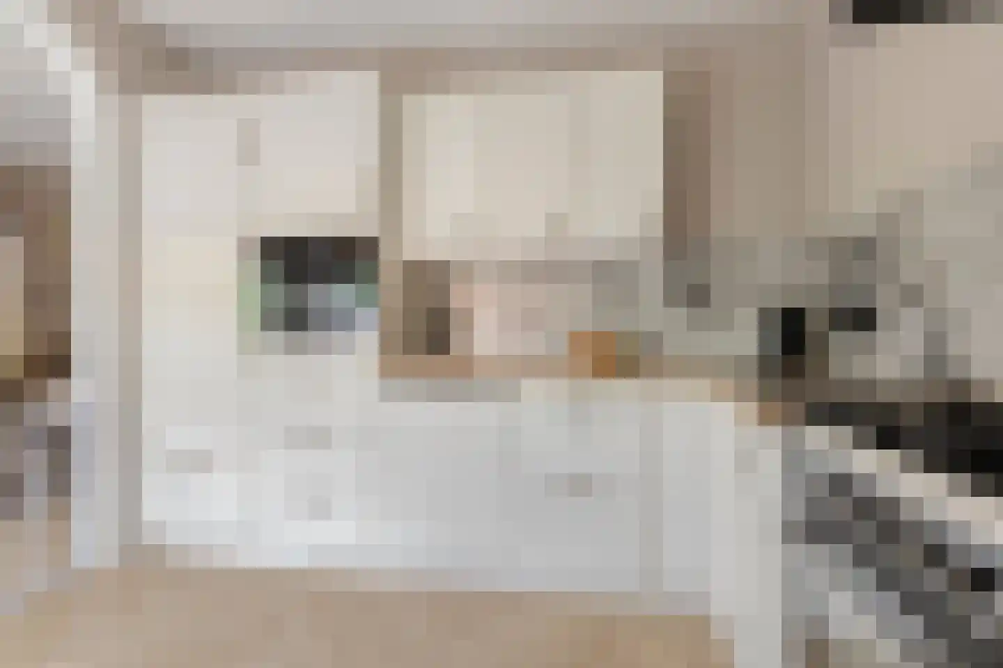 Scheperslaan 5 Stadskanaal thumbnail 16