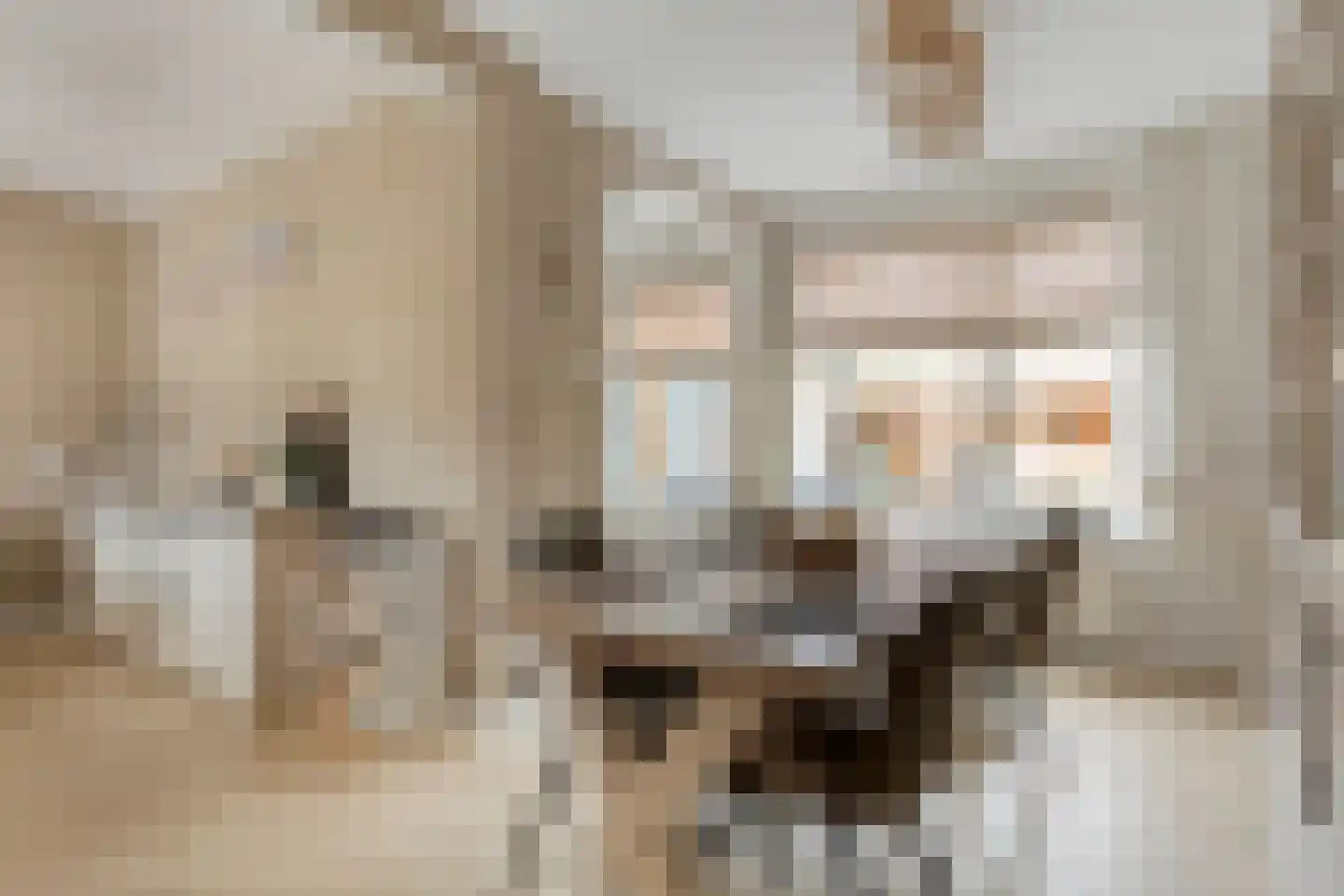 Scheperslaan 5 Stadskanaal thumbnail 18