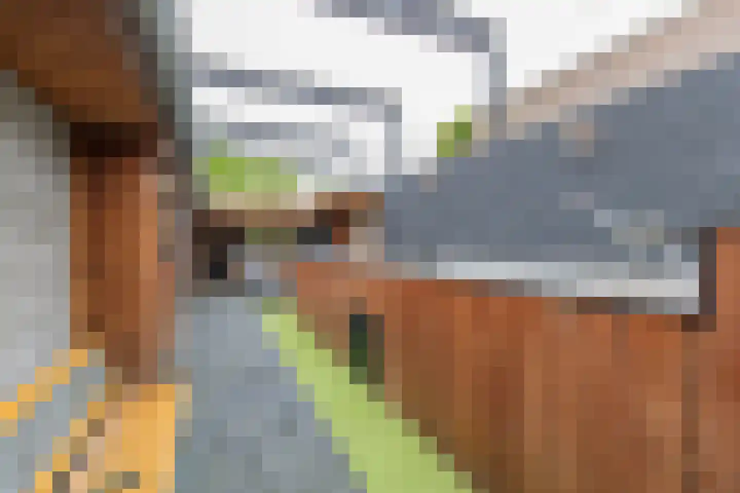 Scheperstraat 10 Beek thumbnail 15