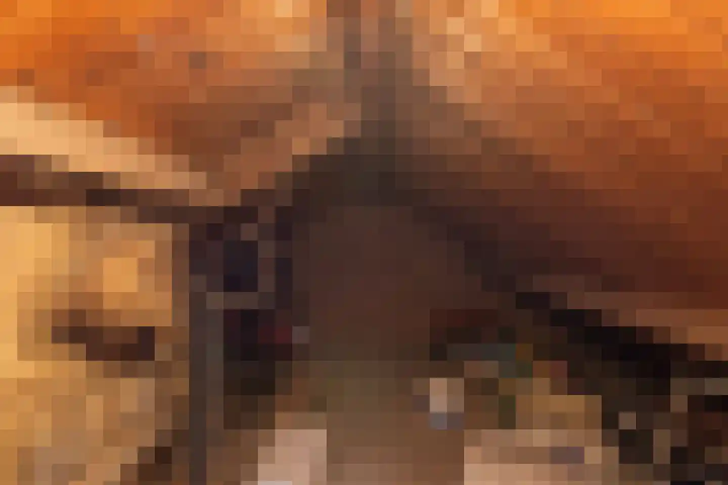 Scheperstraat 10 Beek thumbnail 28