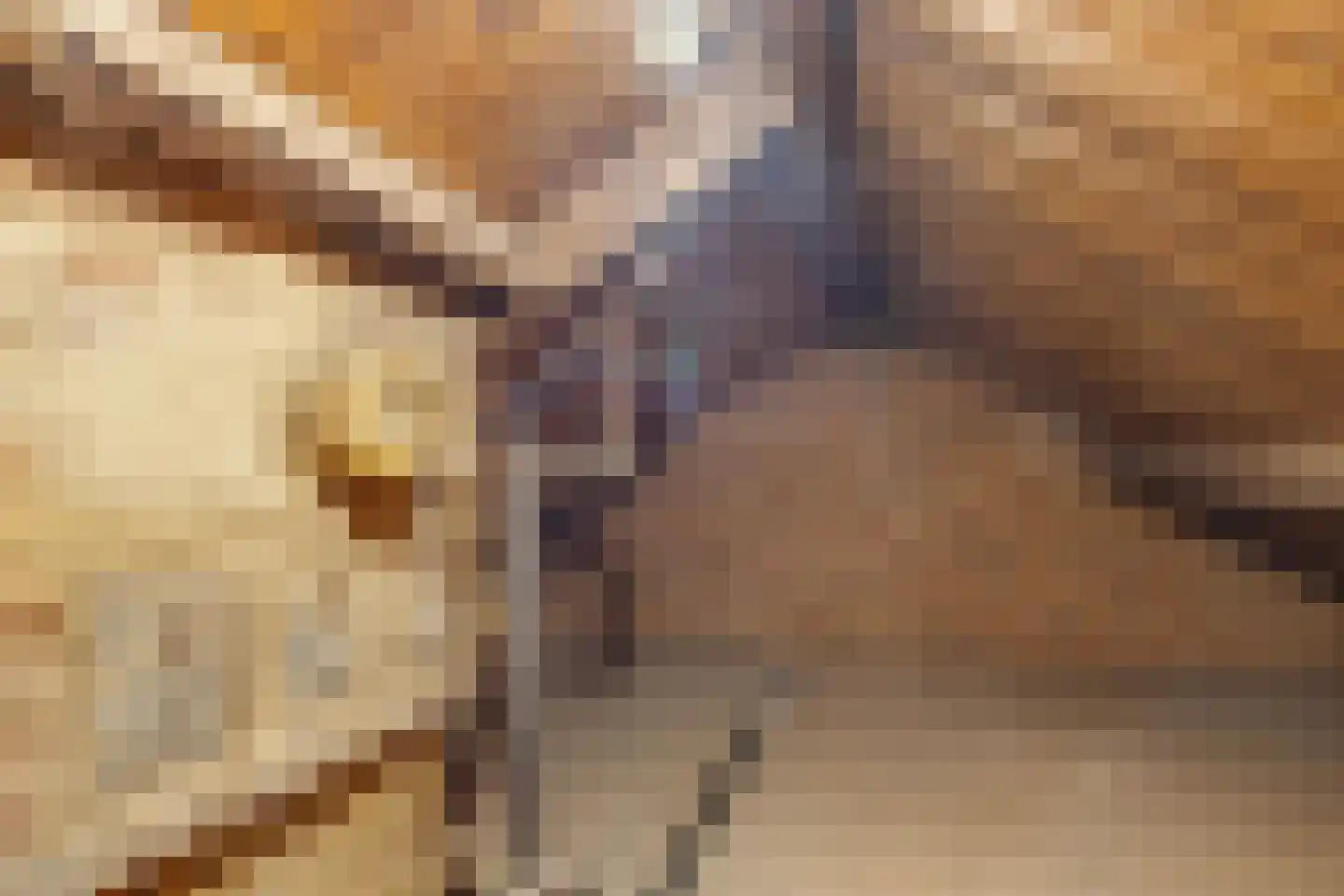 Scheperstraat 10 Beek thumbnail 32