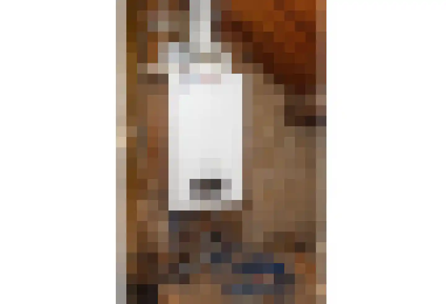 Scheperstraat 10 Beek thumbnail 33