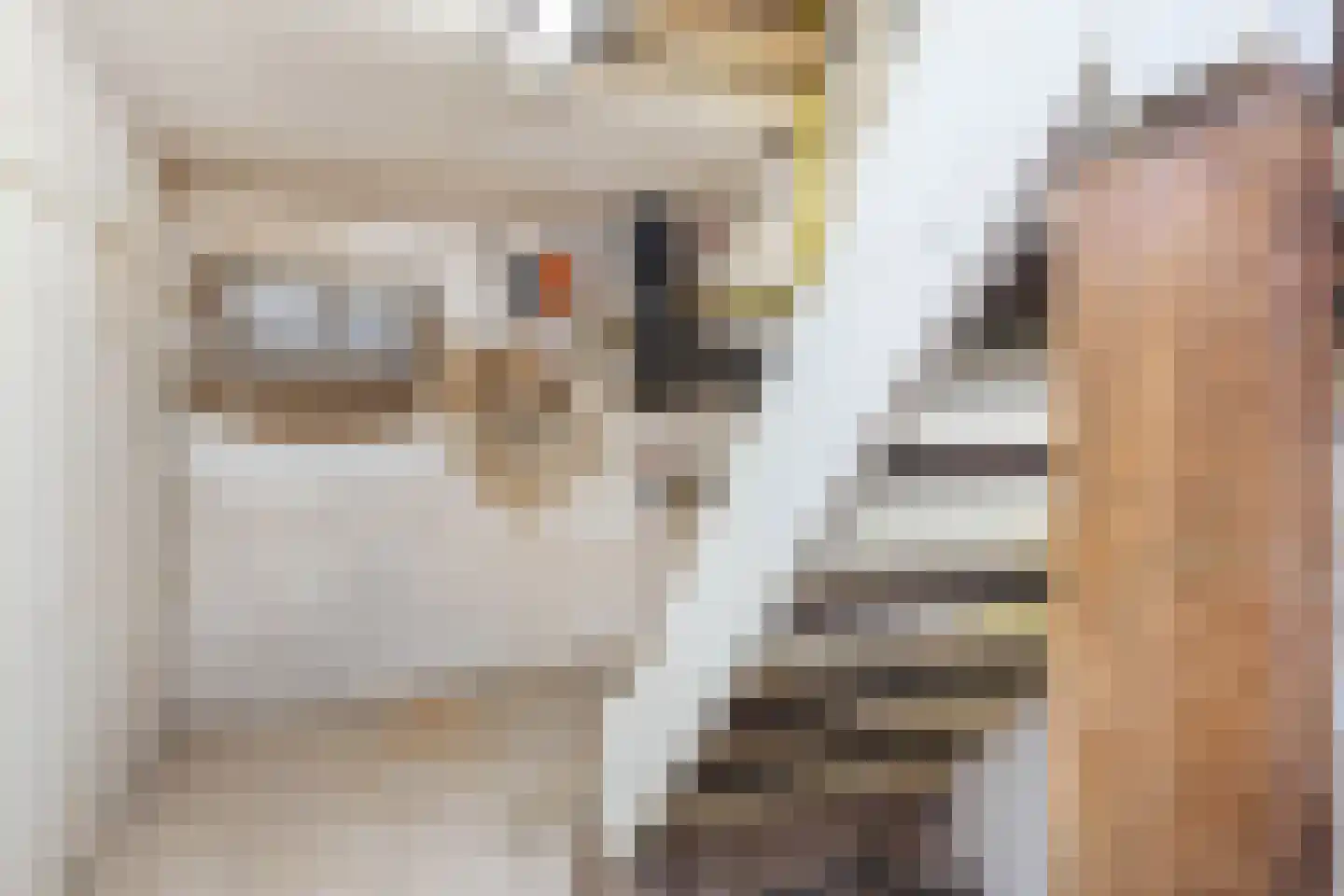 Scheperstraat 10 Beek thumbnail 35