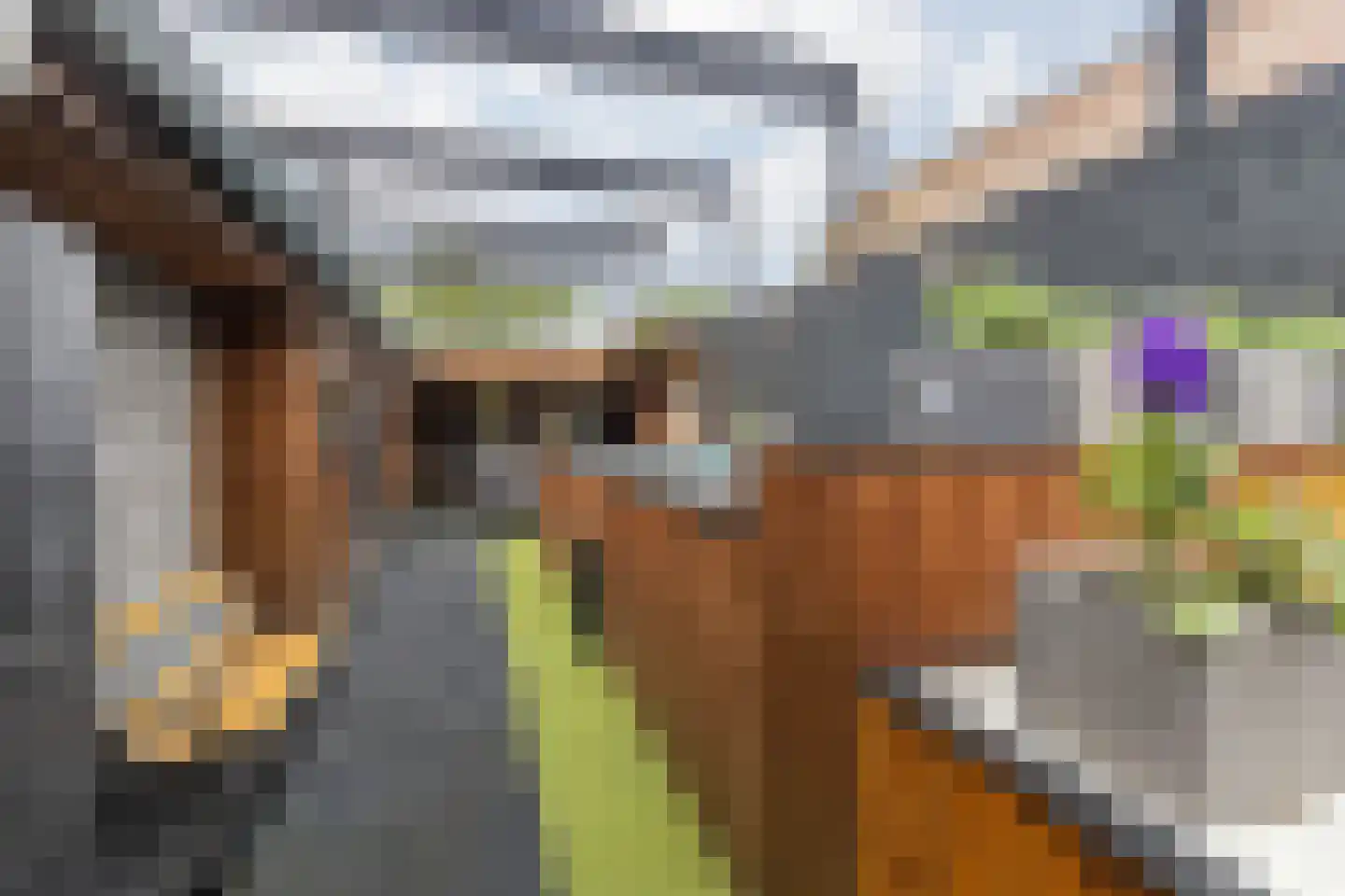 Scheperstraat 10 Beek thumbnail 45