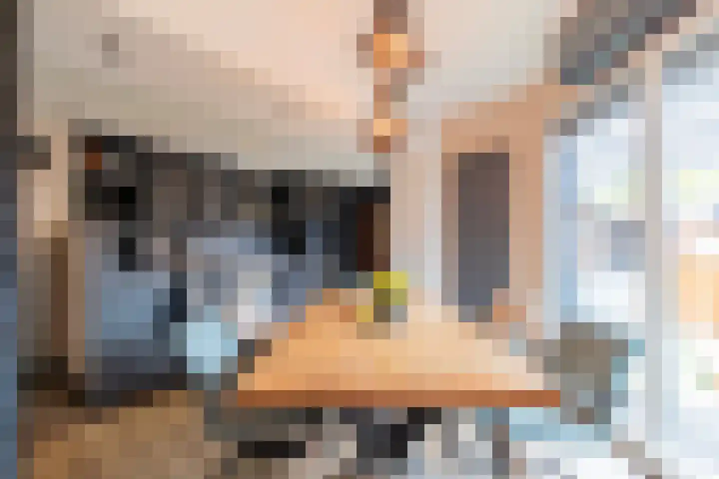 Scheperstraat 10 Beek thumbnail 8