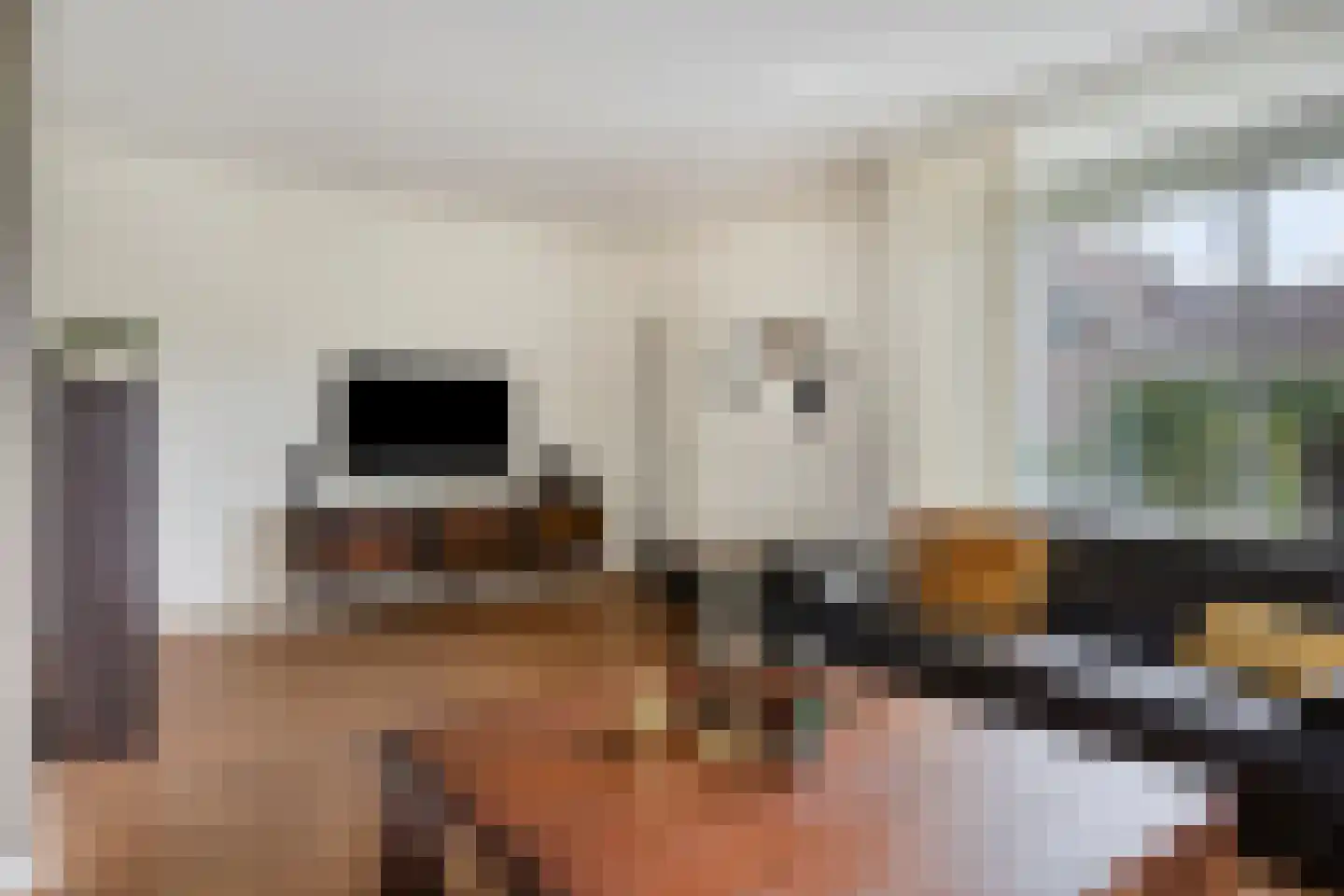 Scheperstraat 2 Sevenum thumbnail 4