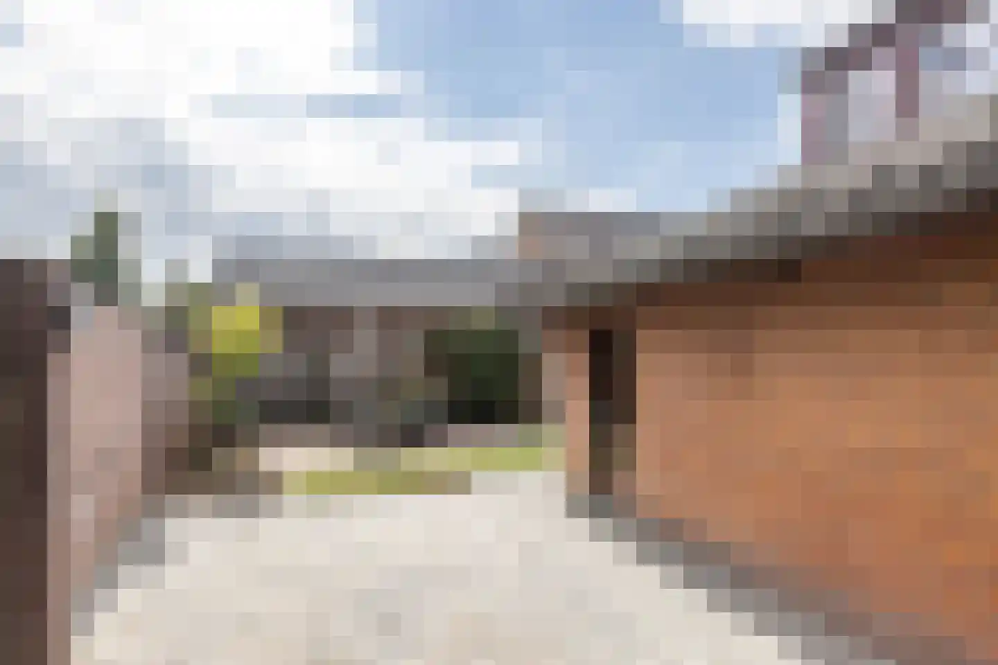 Scheperstraat 22 Beek thumbnail 24