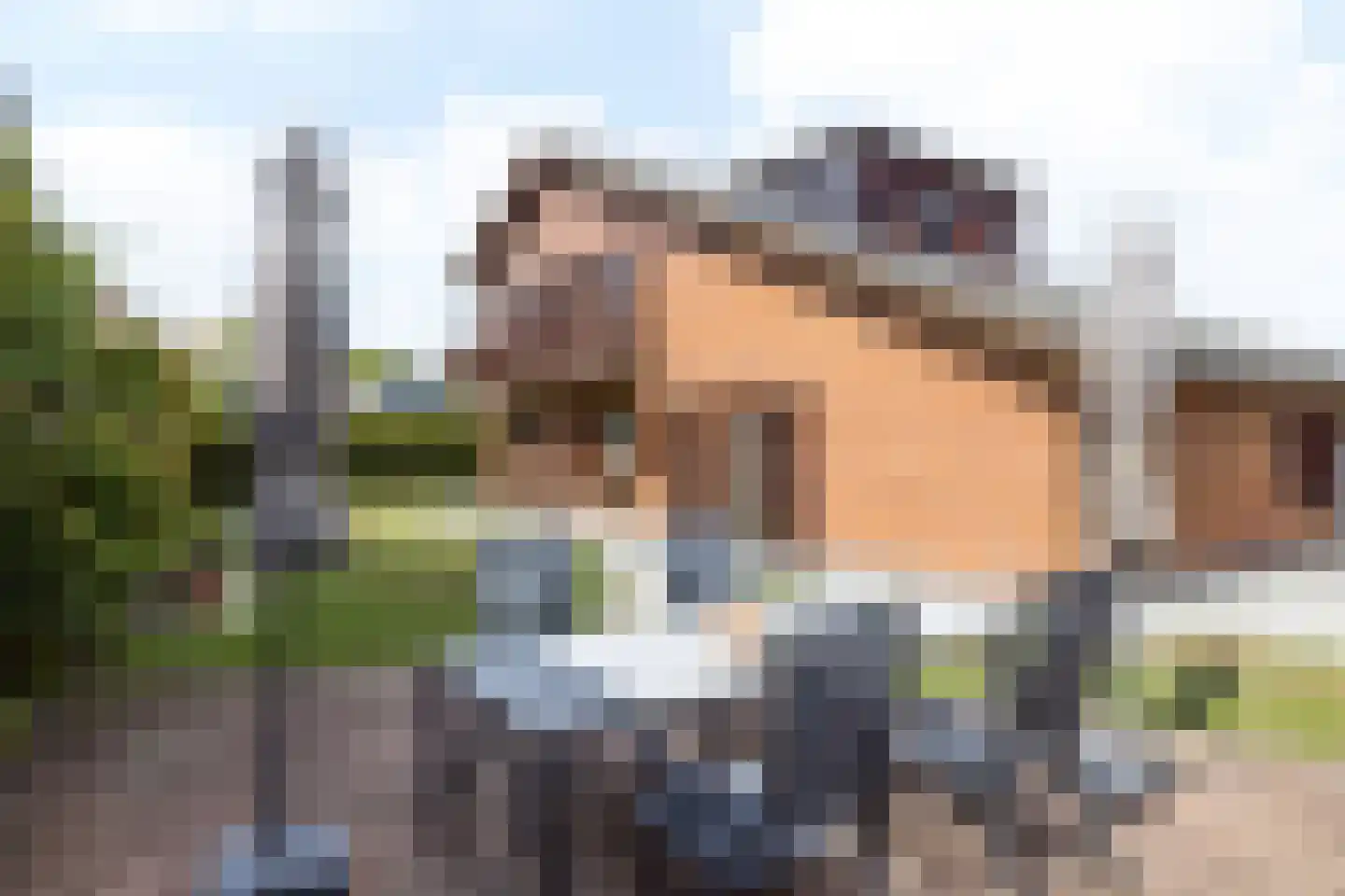 Scheperstraat 22 Beek thumbnail 26