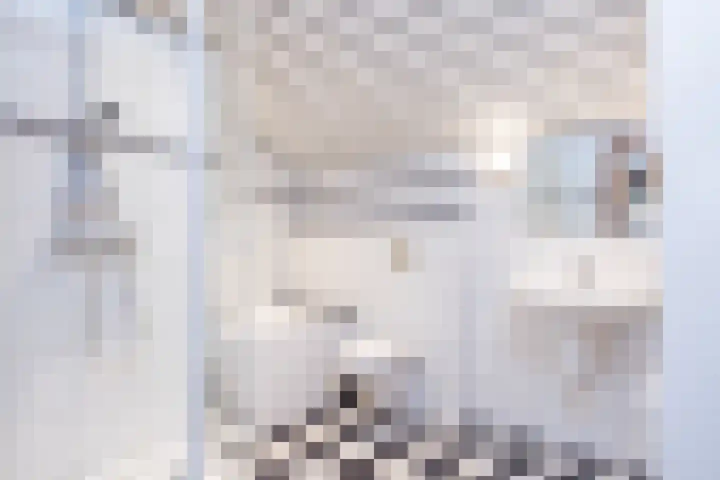 Scheperstraat 22 Beek thumbnail 39