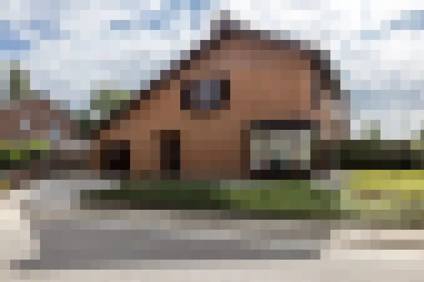 Scheperstraat 22 Beek thumbnail 45