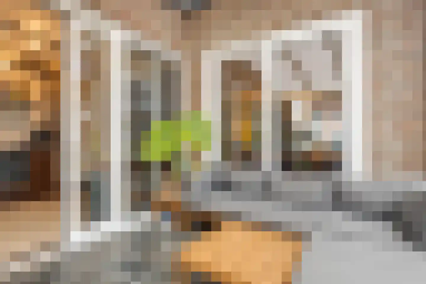 Scheperstraat 8 Beek thumbnail 38