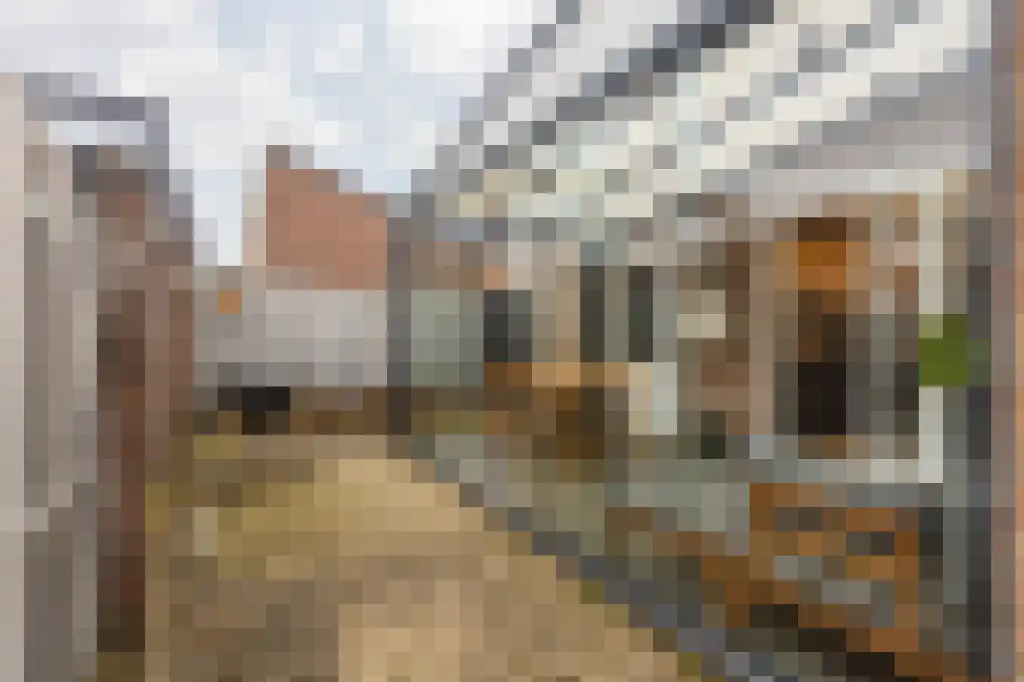 Scheperstraat 8 Beek thumbnail 39