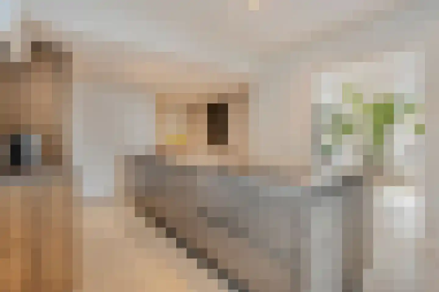 Schepersweg 8 Uden thumbnail 10