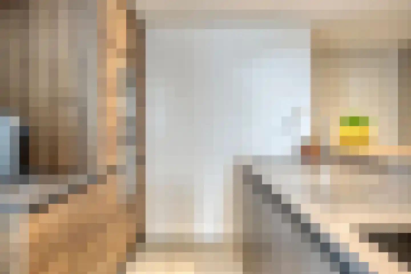 Schepersweg 8 Uden thumbnail 11