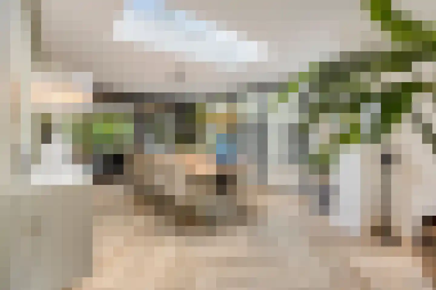 Schepersweg 8 Uden thumbnail 18