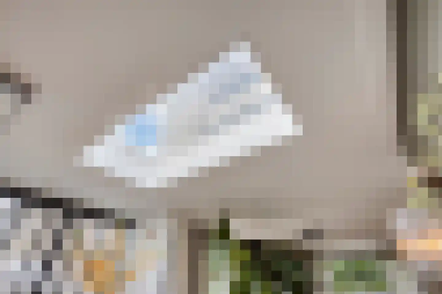 Schepersweg 8 Uden thumbnail 21