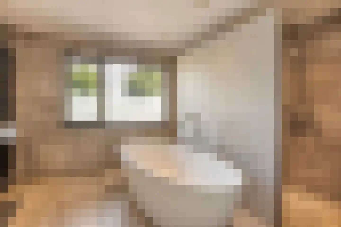 Schepersweg 8 Uden thumbnail 25