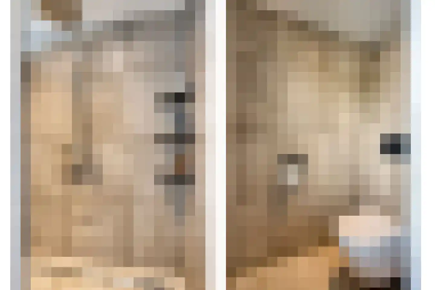 Schepersweg 8 Uden thumbnail 28