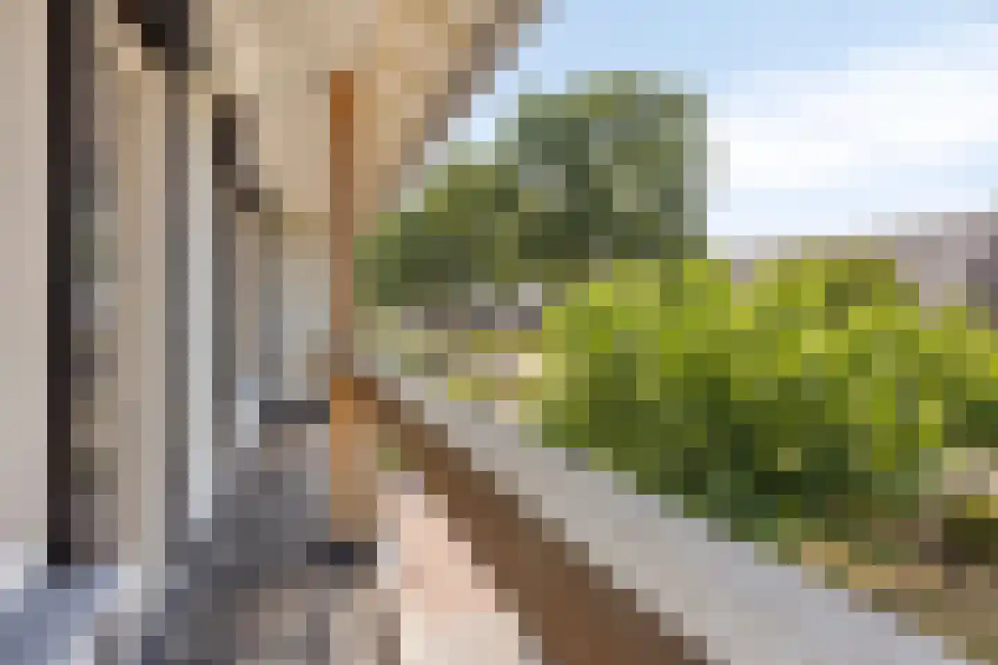 Schepersweg 8 Uden thumbnail 31