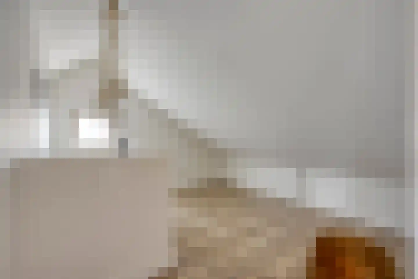 Schepersweg 8 Uden thumbnail 33