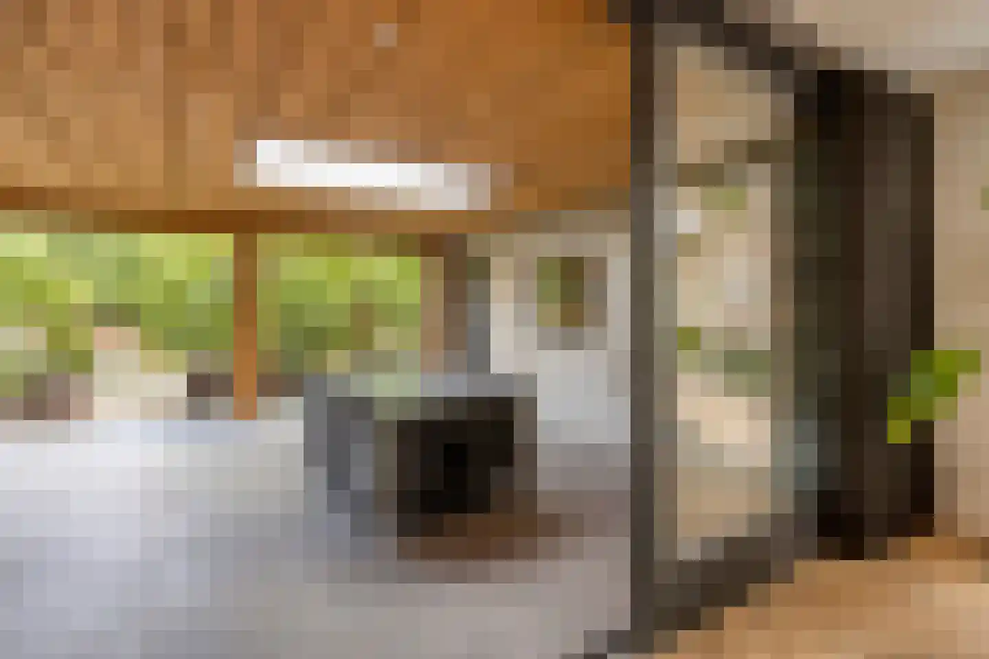 Schepersweg 8 Uden thumbnail 39