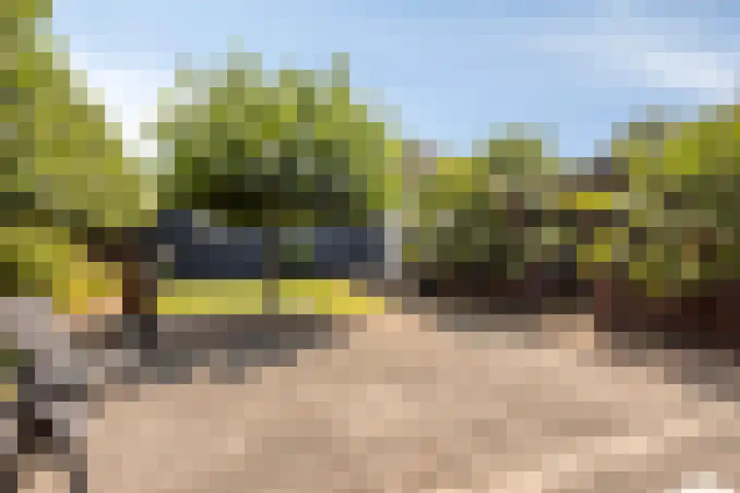 Schepersweg 8 Uden thumbnail 4