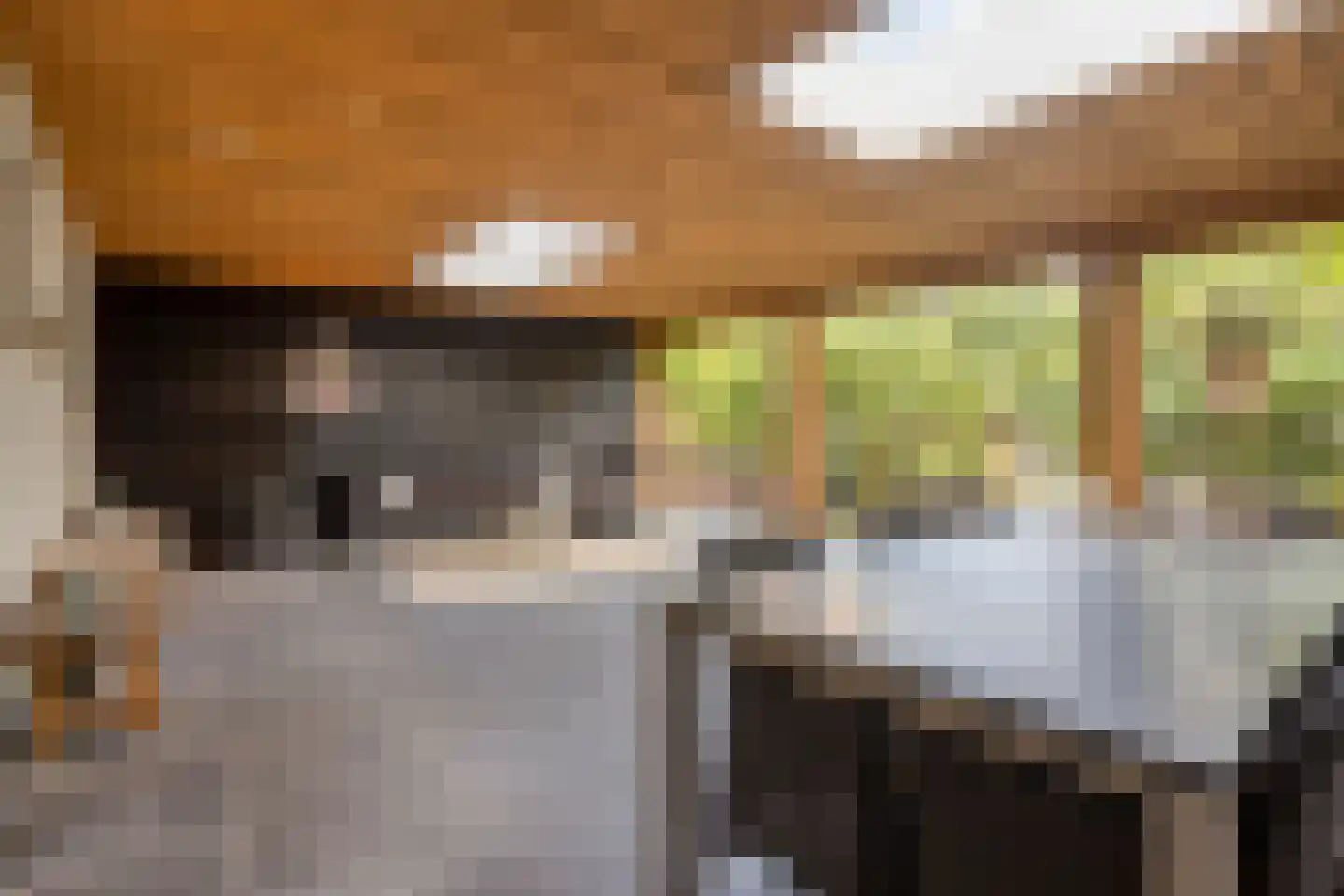 Schepersweg 8 Uden thumbnail 40