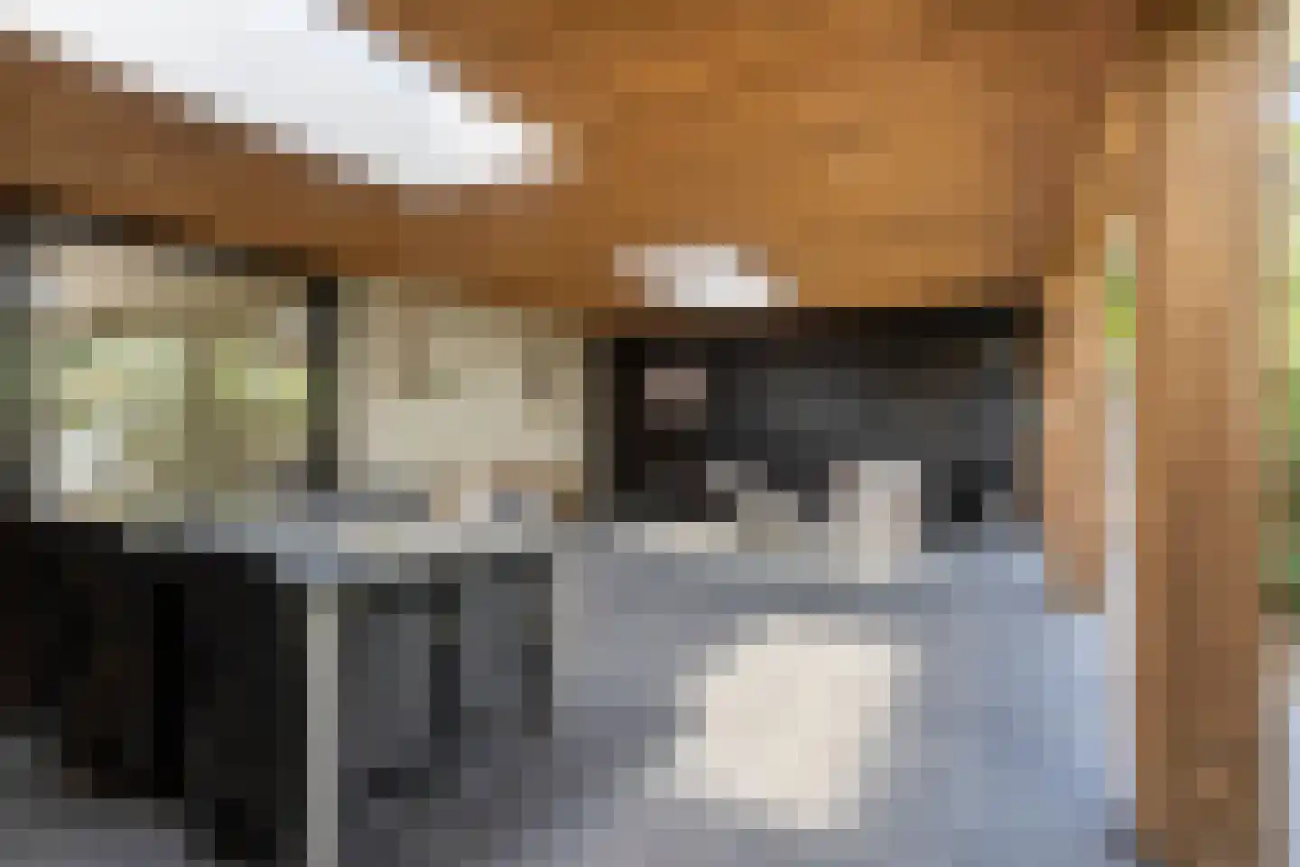 Schepersweg 8 Uden thumbnail 42