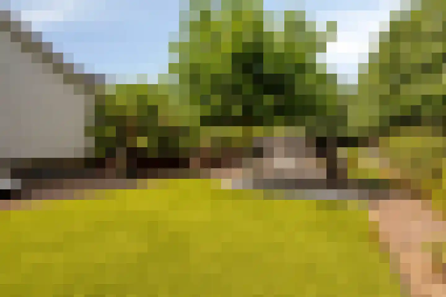 Schepersweg 8 Uden thumbnail 45