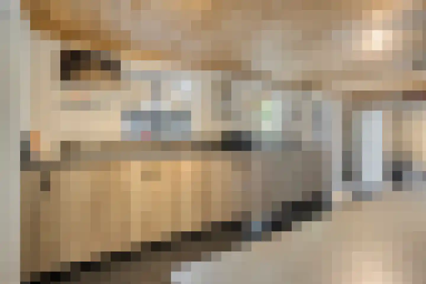 Schepersweg 8 Uden thumbnail 49