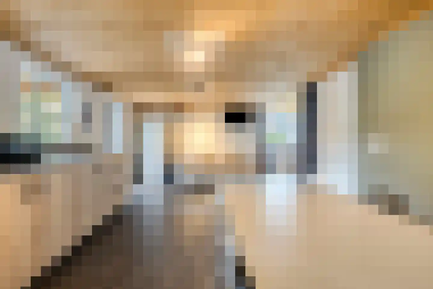 Schepersweg 8 Uden thumbnail 50