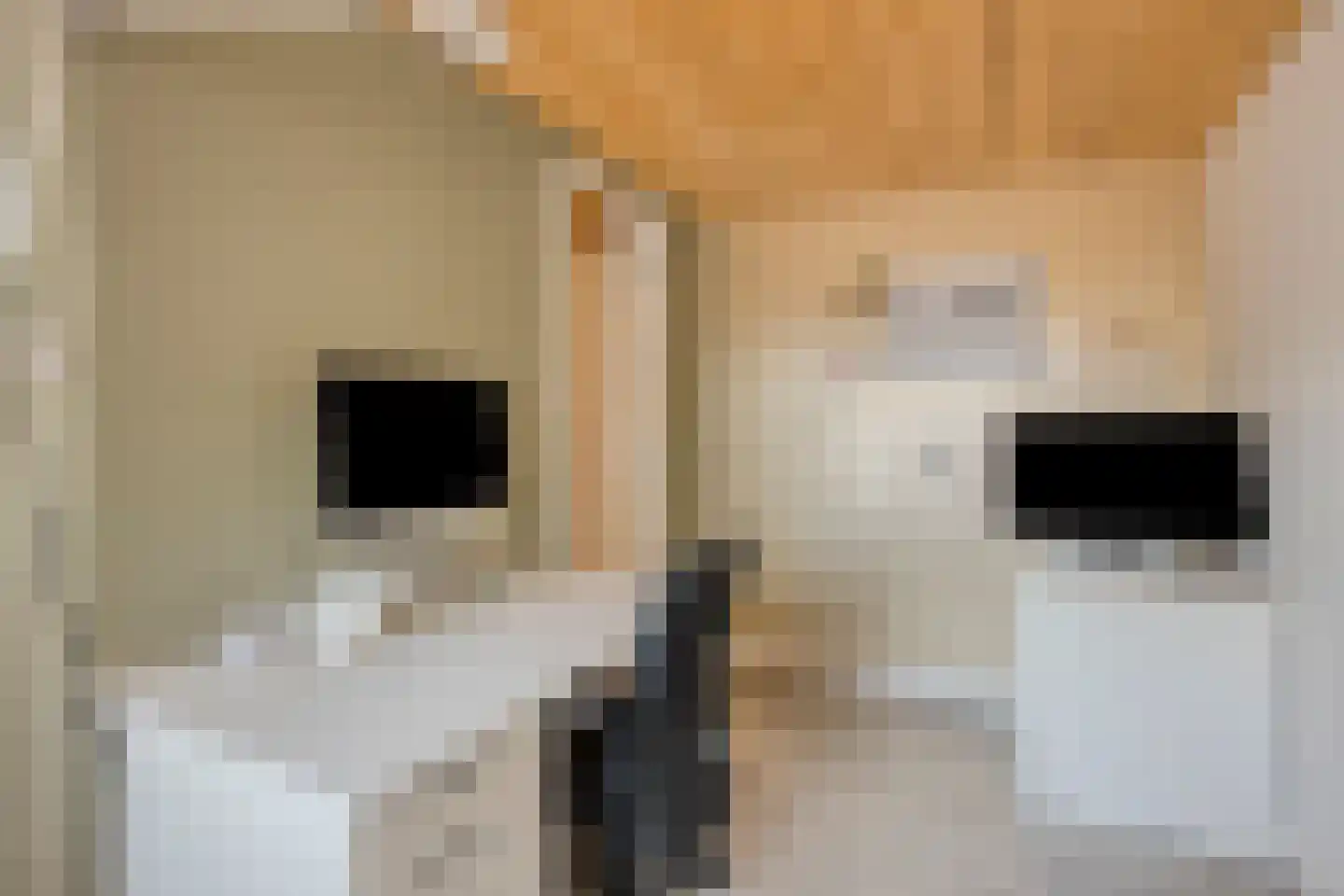 Schepersweg 8 Uden thumbnail 52